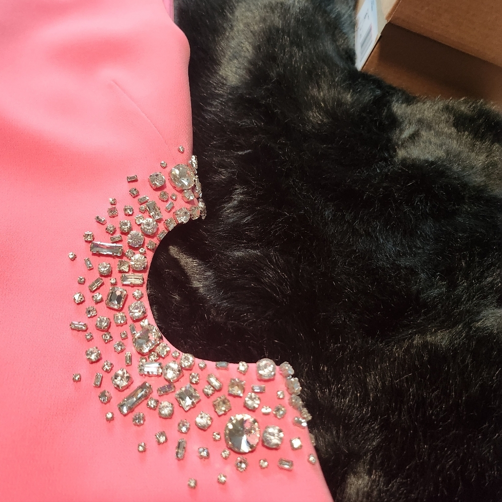 A.L.C. Skye Crystal Embellished Dress in Grapefruit - Picture 9 of 10